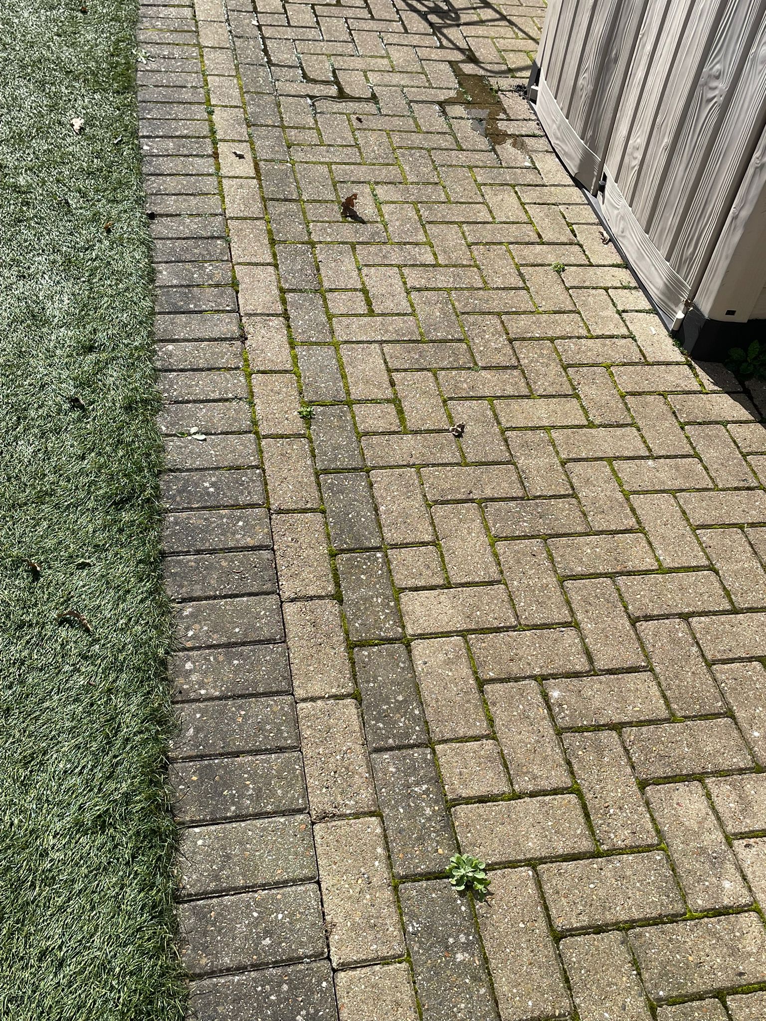 Cleaned Flooring — Before