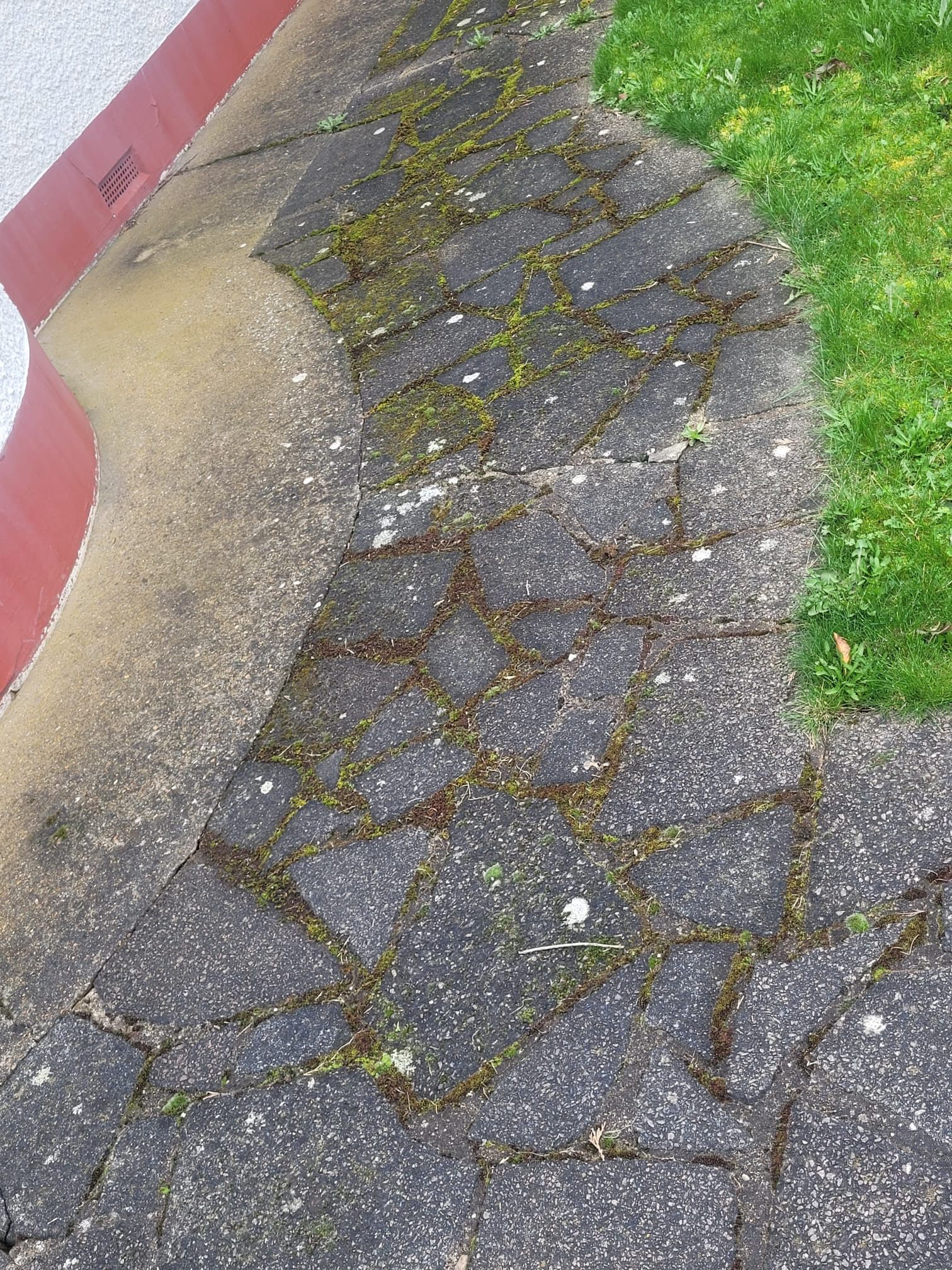 Cleaned Flooring — Before