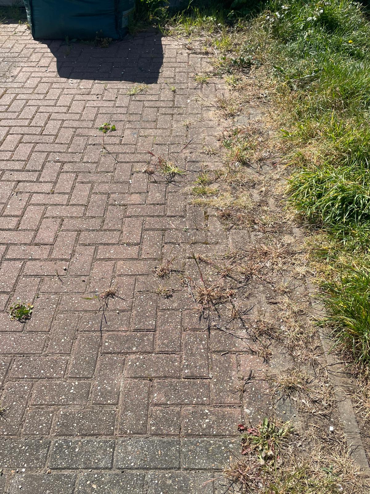 Patio & Flooring Restoration — Before
